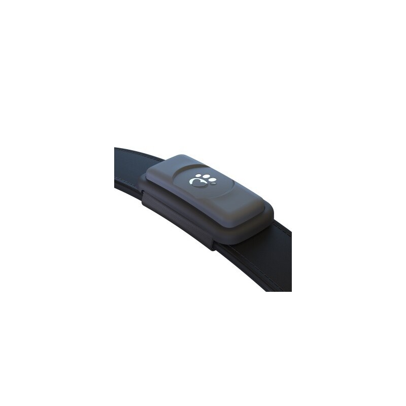 Fressnapf GPS-Tracker für Hunde