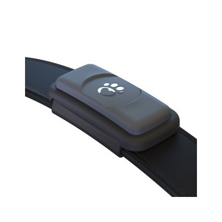 Fressnapf GPS-Tracker für Hunde