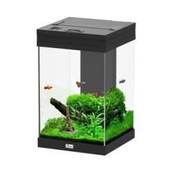 Aquatlantis Tower 43 Aquarium schwarz