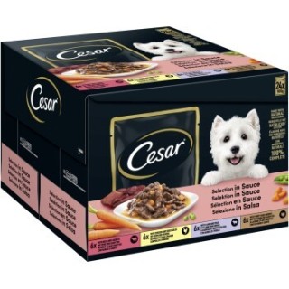 Cesar Feines im Frischebeutel in Sauce Multipack 24x100g