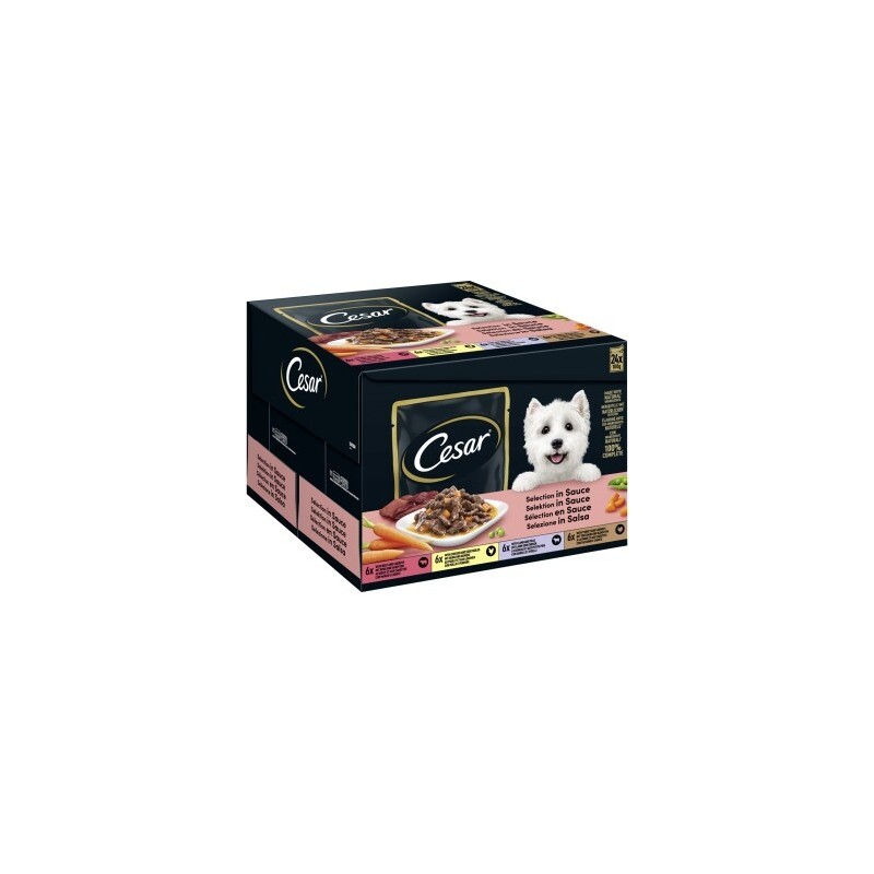 Cesar Feines im Frischebeutel in Sauce Multipack 24x100g