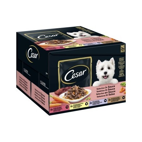 Cesar Feines im Frischebeutel in Sauce Multipack 24x100g