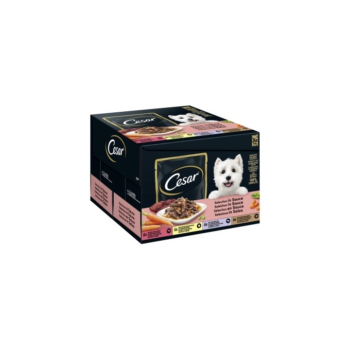 Cesar Feines im Frischebeutel in Sauce Multipack 24x100g
