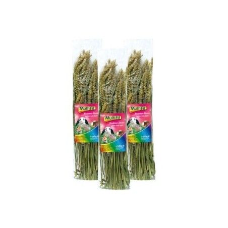 MultiFit Nagersnack Weizenähren 3x120g