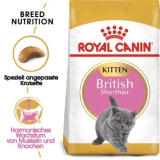 ROYAL CANIN British Shorthair Kitten 10 kg