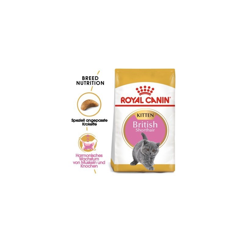 ROYAL CANIN British Shorthair Kitten 10 kg
