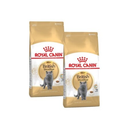 ROYAL CANIN British Shorthair Adult 2x10 kg
