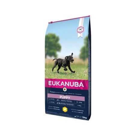 EUKANUBA Trockenfutter Hund Large Breed Puppy, Huhn 15 kg