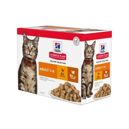Hill's Science Plan Adult Truthahn und Huhn 12x85 g