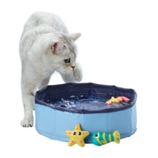 AniOne Pool für Katzen oder kleine Hunde