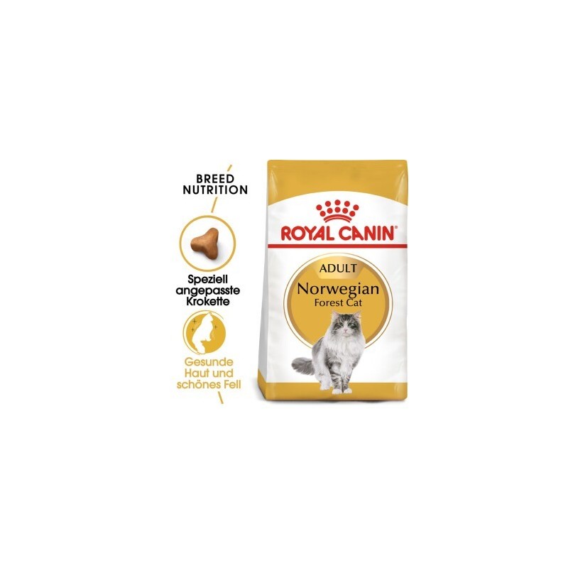 ROYAL CANIN Norwegian Forest Adult 2 kg