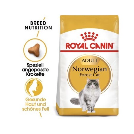 ROYAL CANIN Norwegian Forest Adult 2 kg