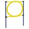 AniOne Agility Hürde