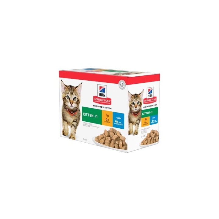 Hill's Science Plan Kitten Multipack Fisch und Huhn 12x85 g