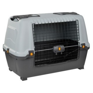 AniOne Kofferraumbox M