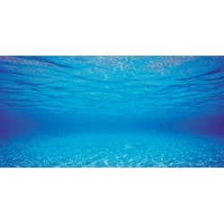 JUWEL Aquarienrückwand Unterwasserwelt L