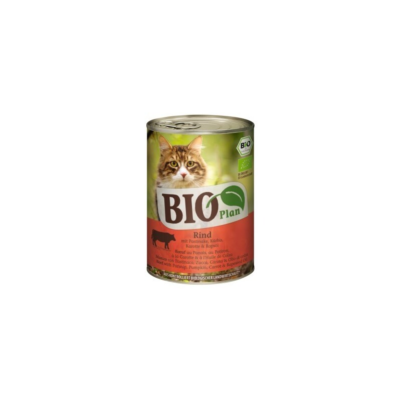 BIOPlan Adult Rind mit Pastinake, Kürbis, Karotte und Rapsöl 12x400 g