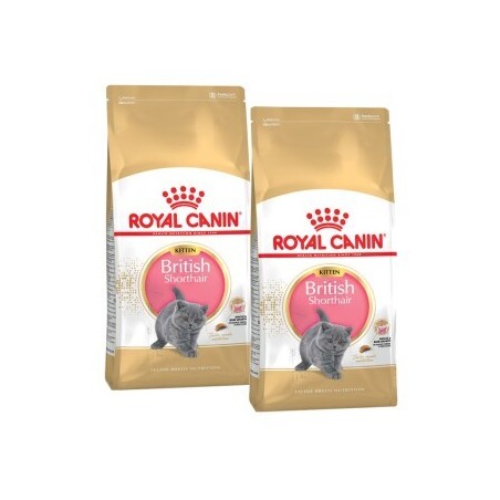 ROYAL CANIN British Shorthair Kitten 2x10 kg