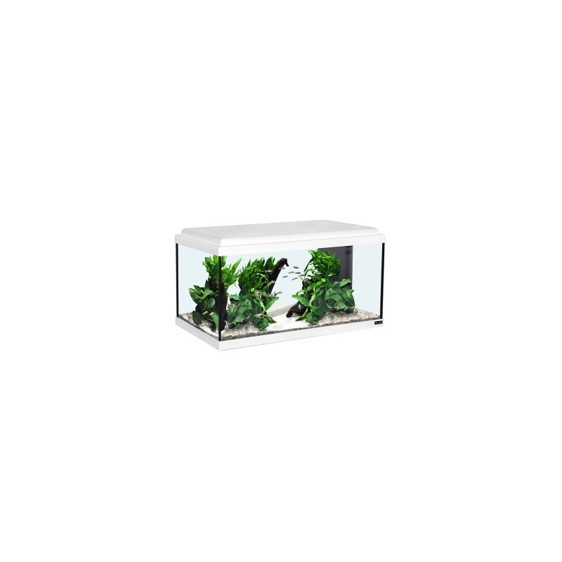 Aquatlantis Aquarienset LED weiß