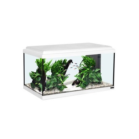 Aquatlantis Aquarienset LED weiß
