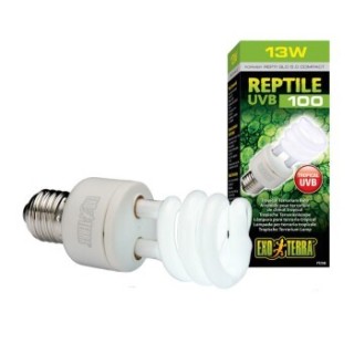 Exo Terra Reptil 5.0 Tropenlampe E27 25 W