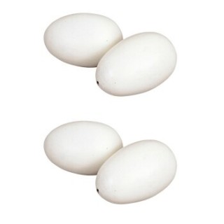 Kerbl Nesteier aus Holz für Hühner 2 Stückx2