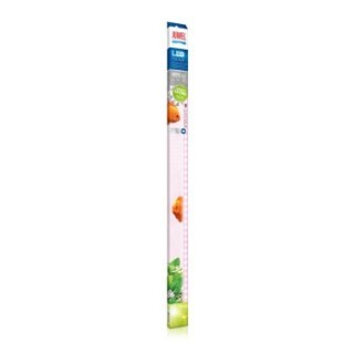 JUWEL Leuchtmittel LED Colour 89,5 cm, 17 W