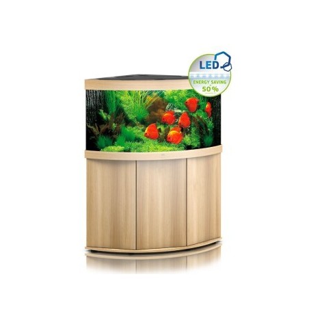 JUWEL Trigon 350 LED SBX helles Holz