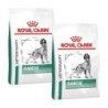 ROYAL CANIN Veterinary Diabetic 2x12 kg