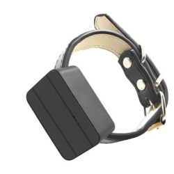 Halsband mit wasserdichtem GPS-Tracker für Hunde und Katzen
