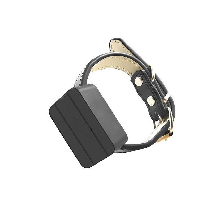 Halsband mit wasserdichtem GPS-Tracker für Hunde und Katzen