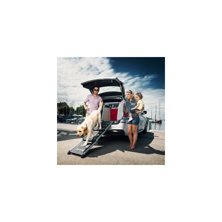 4pets Rampe EasySteps