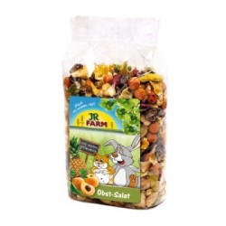 JR Farm Obst Salat 600 g