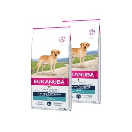 EUKANUBA Trockenfutter Hund Specific Labrador Retriever Adult 2x12 kg