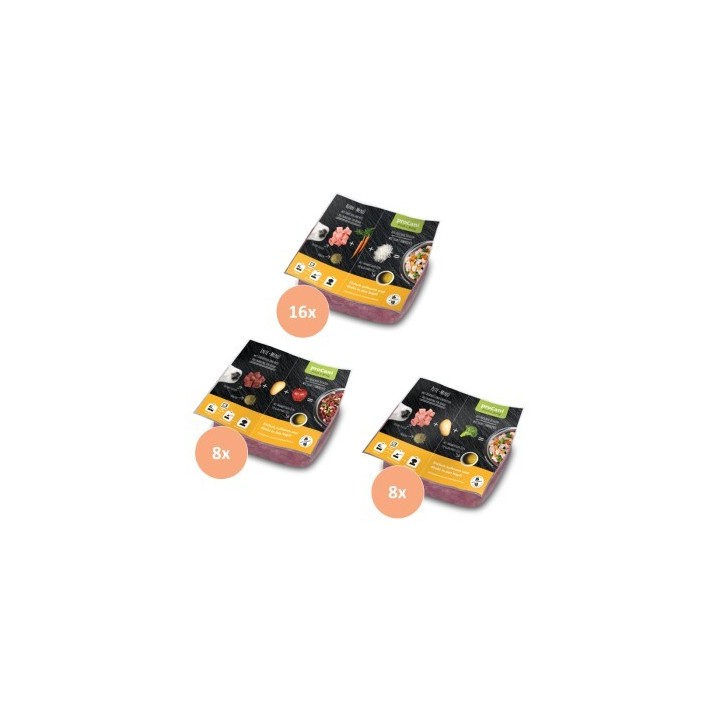 ProCani BARF Komplettmenü TK-Blockware Napffertig Probierpaket Geflügel 32x500 g