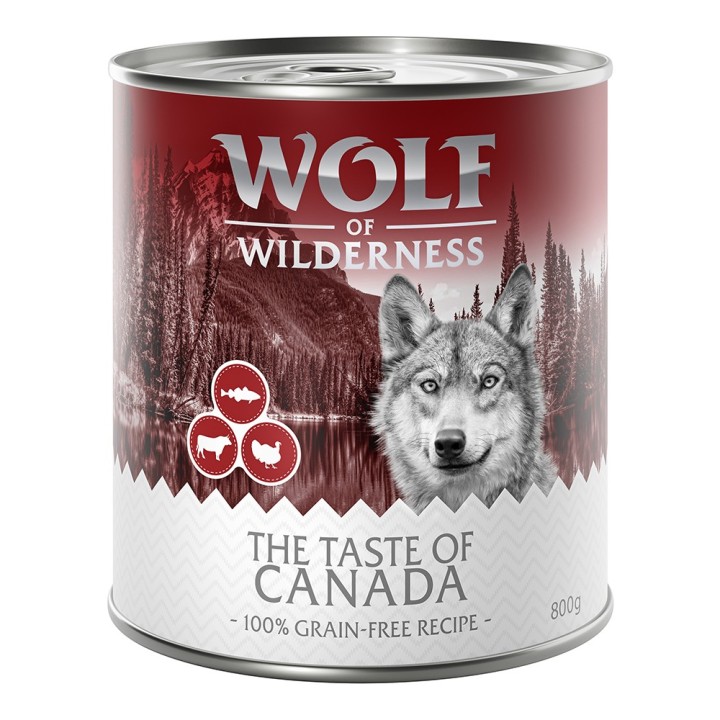 Wolf of Wilderness Adult - "The Taste Of" 6 x 800 g  -  Canada - Rind, Pute, Kabeljau