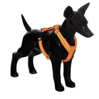 Paikka Easy Harness orange orange S