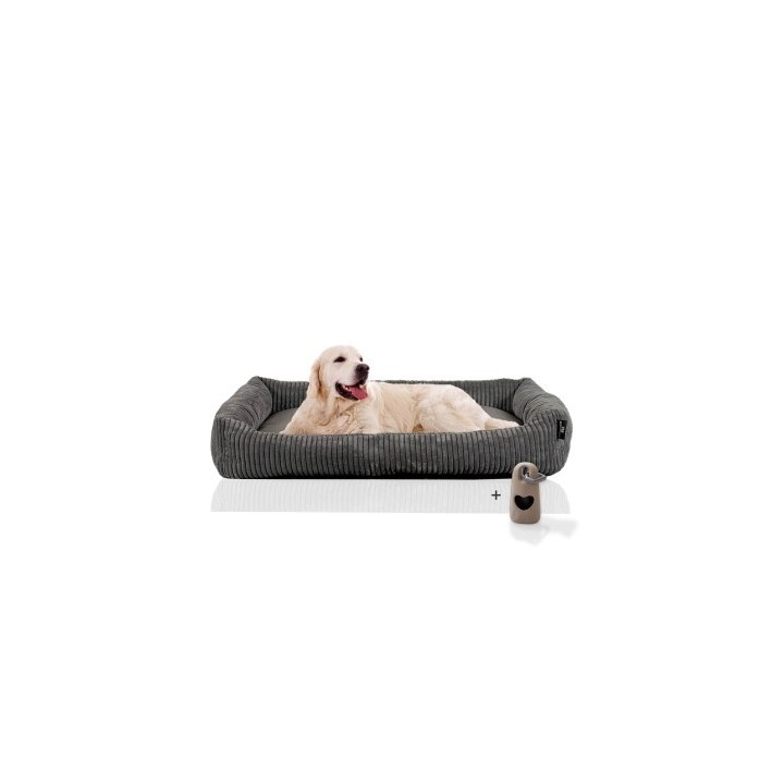 Rohrschneider Hundesofa XXL mit Gratis-Beigabe, weicher Cord