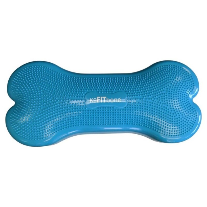 FitPaws Giant Balancekissen & Gleichgewichtstrainer hellblau