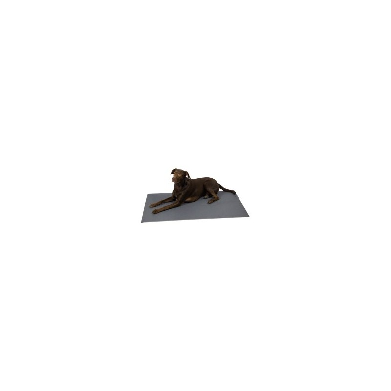 alsa-brand Thermoliegematte Warm & Healthy grau, Maße: ca. 120 x 80 cm/10mm