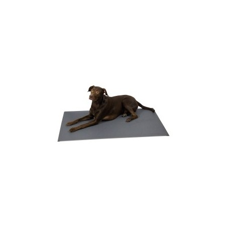 alsa-brand Thermoliegematte Warm & Healthy grau, Maße: ca. 120 x 80 cm/10mm