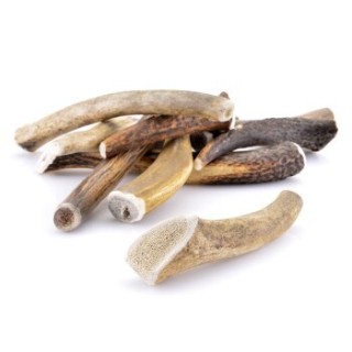 Larsson Geweih XS ca. 30-50g