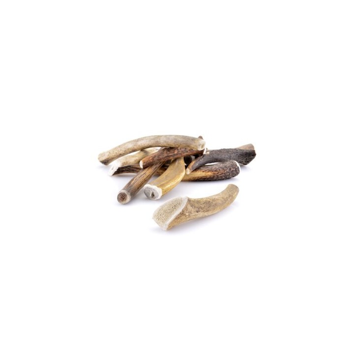 Larsson Geweih XS ca. 30-50g