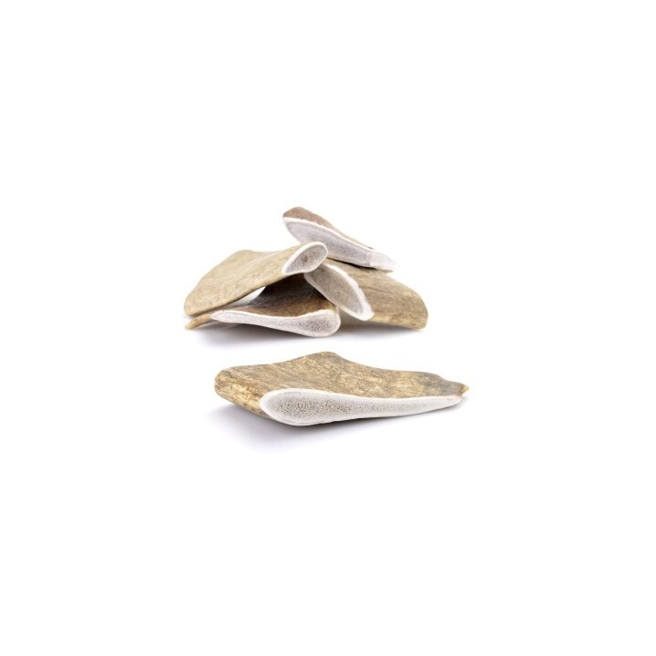 Larsson Geweih Schäufle L ca. 120-180g