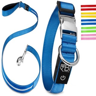 Petsation Leuchthalsband + Leine blau S