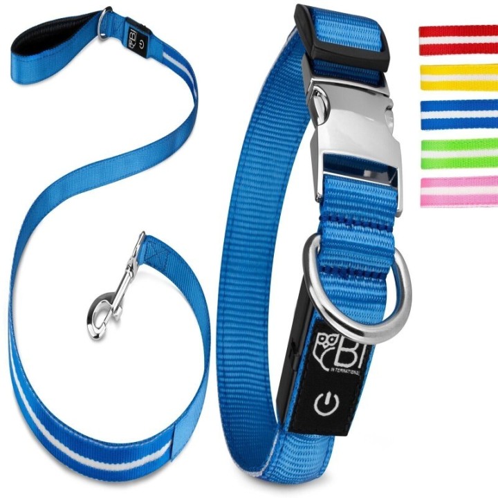 Petsation Leuchthalsband + Leine blau S