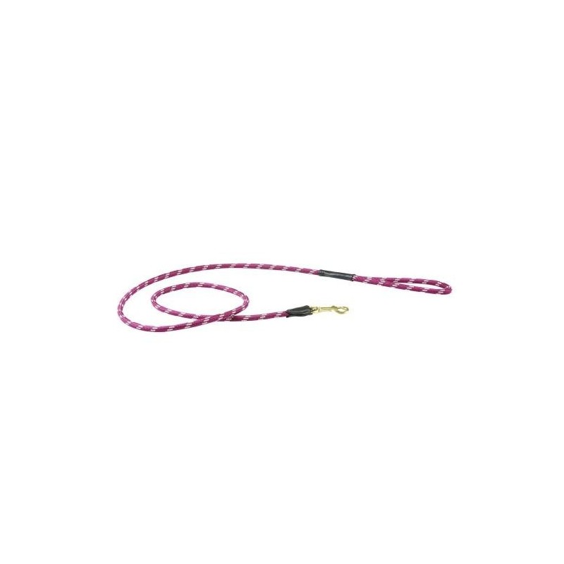 Weatherbeeta Seil-Leder-Hundeleine 1.2m
