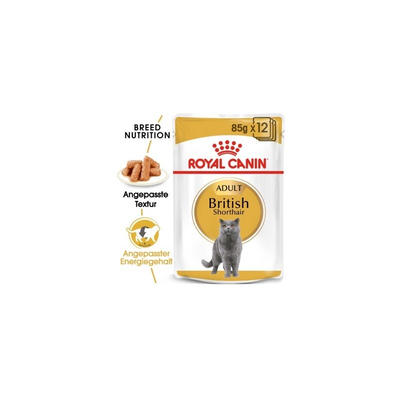 ROYAL CANIN British Shorthair Adult in Soße 48x85 g