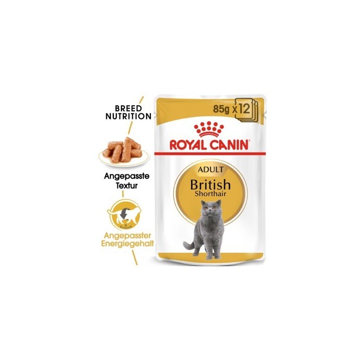 ROYAL CANIN British Shorthair Adult in Soße 48x85 g