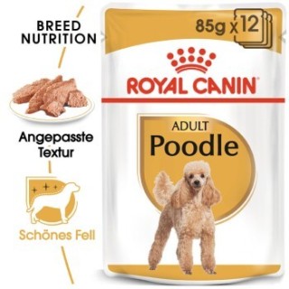 ROYAL CANIN Poodle Adult in Soße 48x85 g